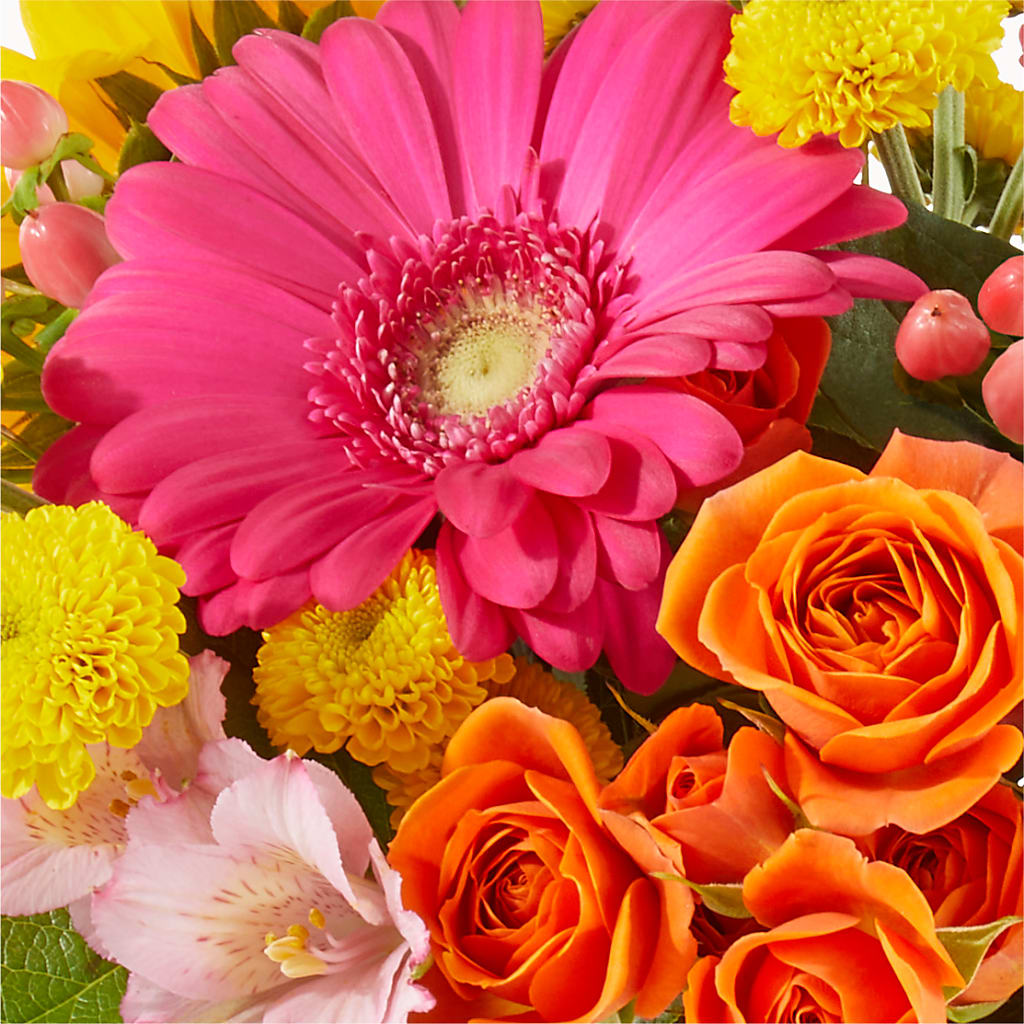新品 HENRY / MULTI OIL（Noble Bouquet） Magnificent Pink Rose & Lily Bouquet | 1800Flowers.com