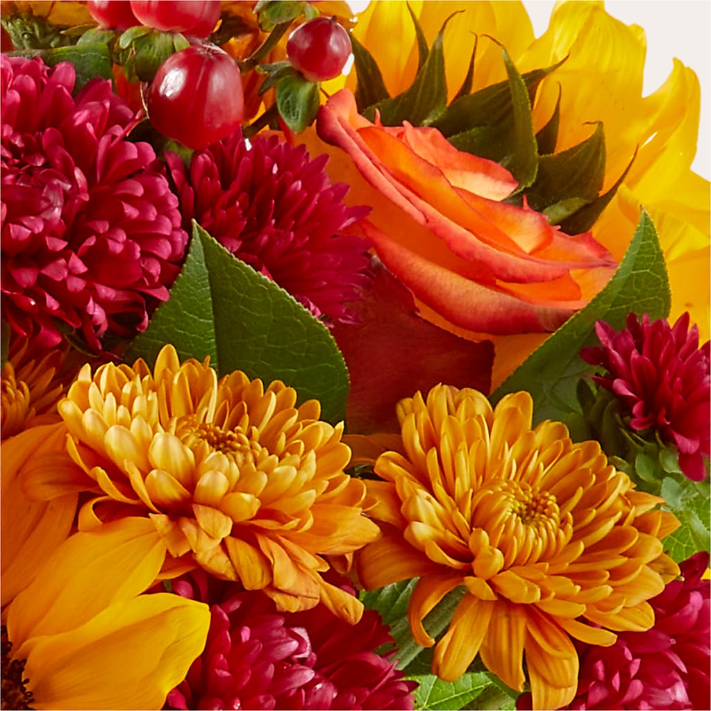 Sweater Season - A Florist Original – Flowers By Henry Llc, Louisburg NC
