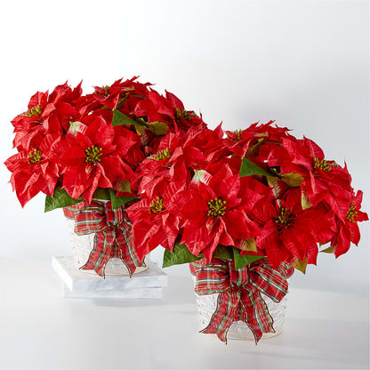 Happiest Holidays Poinsettia Bundle –  Flowers By Henry Llc, Louisburg NC