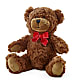 Adorable Plush Bear –  Flowers By Henry Llc, Louisburg NC