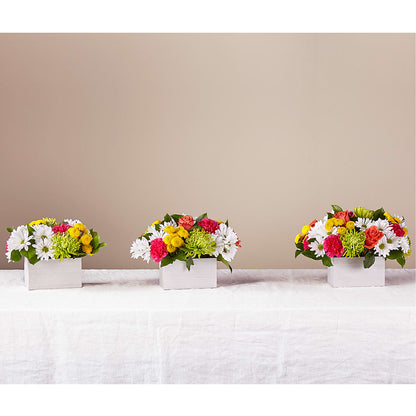 Sorbet Bouquet –  Flowers By Henry Llc, Louisburg NC