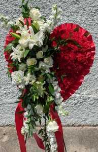 Reverse Bleeding Heart –  Flowers By Henry Llc, Louisburg NC