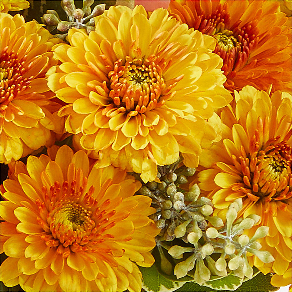 Peachy Pumpkin –  Flowers By Henry Llc, Louisburg NC