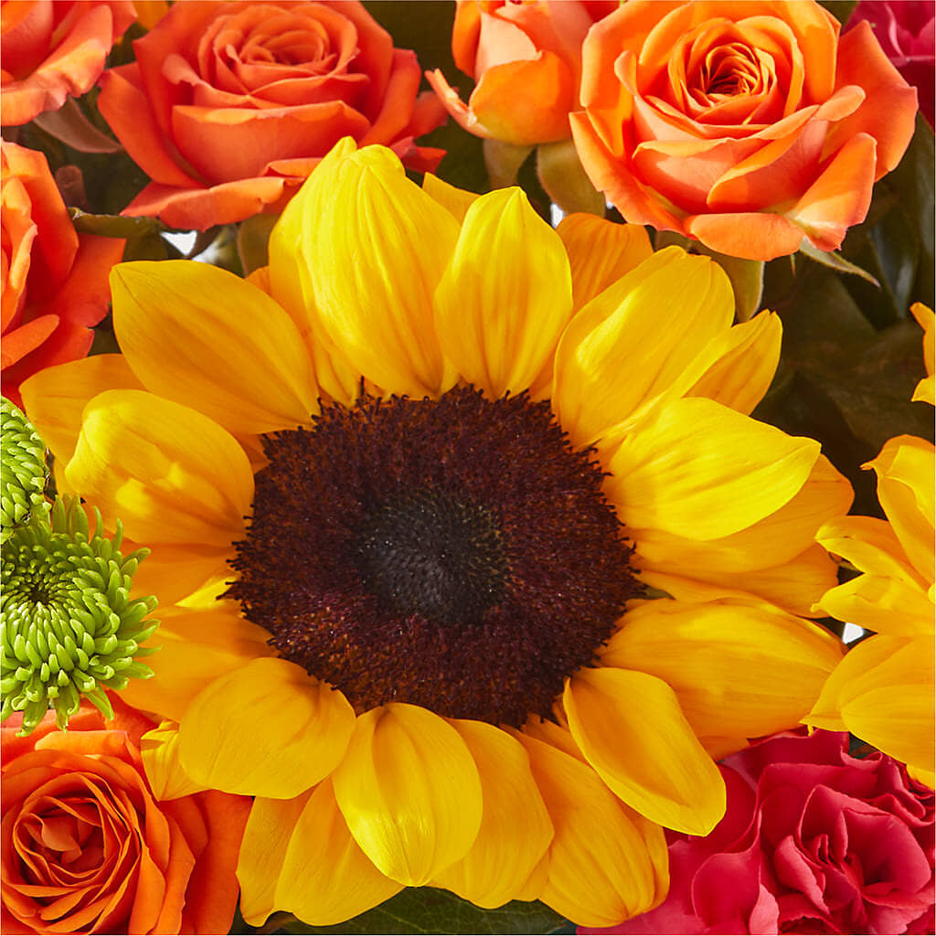 Sun-drenched Blooms Box Bouquet –  Flowers By Henry Llc, Louisburg NC