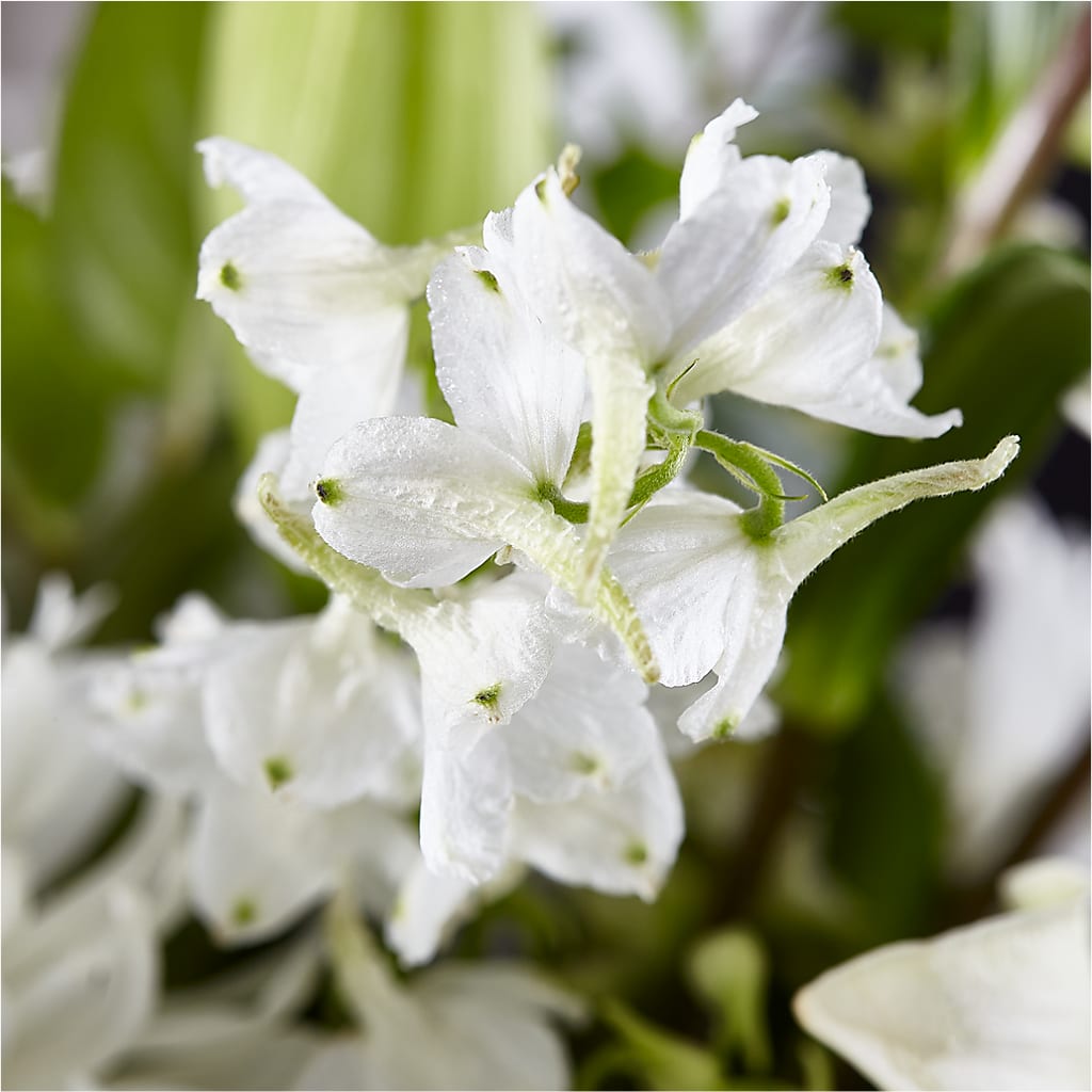 Classic Ivory – A Florist Original –  Flowers By Henry Llc, Louisburg NC