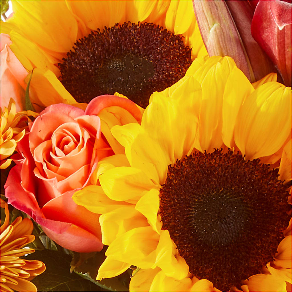 Acorn Lane Bouquet –  Flowers By Henry Llc, Louisburg NC