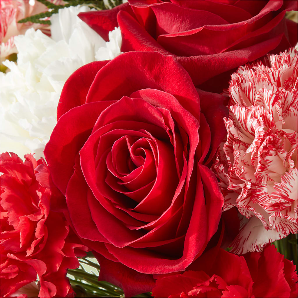 Candy Cane Lane Bouquet –  Flowers By Henry Llc, Louisburg NC