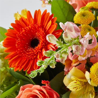 Autumn Sunshine Bouquet –  Flowers By Henry Llc, Louisburg NC