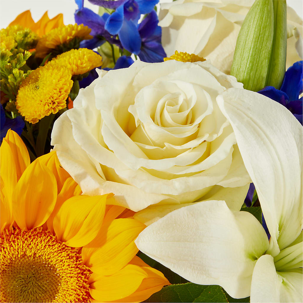 Stargazing Bouquet –  Flowers By Henry Llc, Louisburg NC