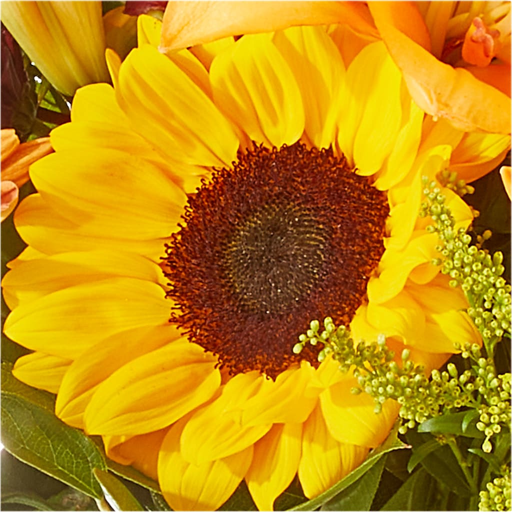 Seasons Change Bouquet –  Flowers By Henry Llc, Louisburg NC