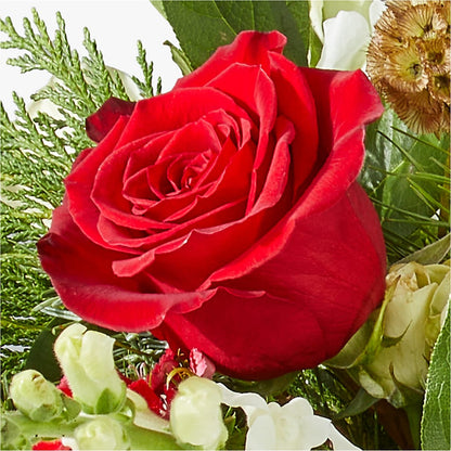 Deck the Halls Bouquet –  Flowers By Henry Llc, Louisburg NC