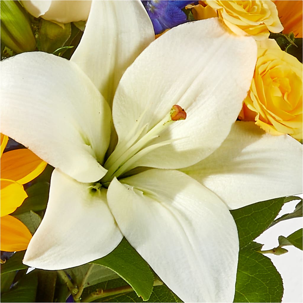 Wonderfully Sunny Bouquet –  Flowers By Henry Llc, Louisburg NC